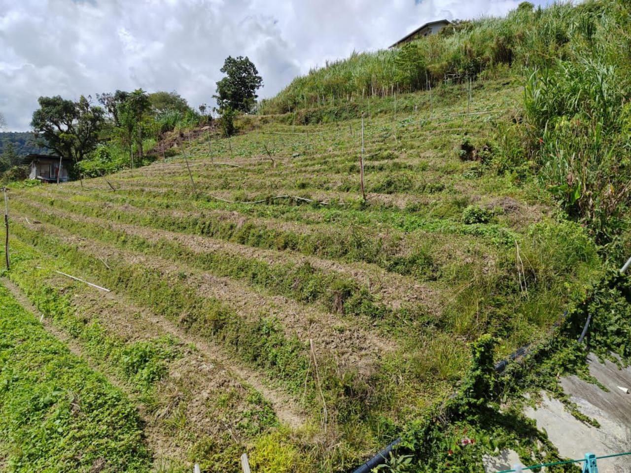 Kundasang Mount Garden Bagian luar foto