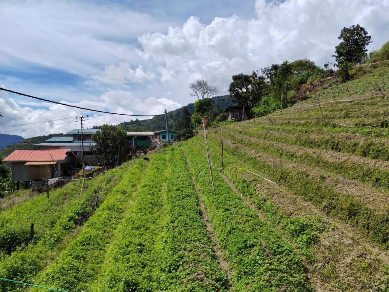 Kundasang Mount Garden Bagian luar foto
